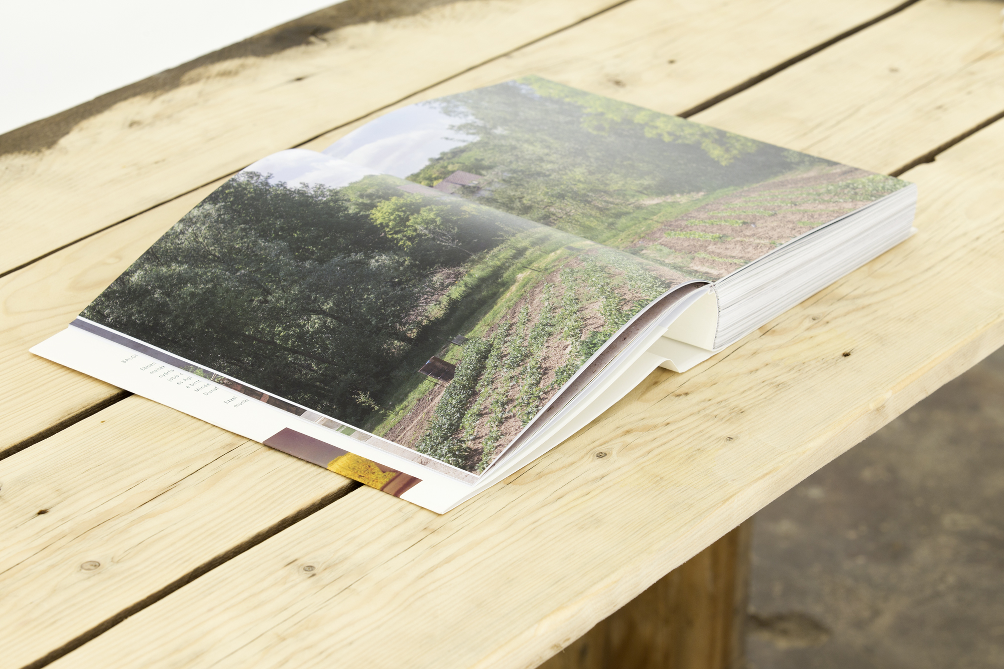 Kert, kiállítás-installáció, 2018 © Balogh Viktória