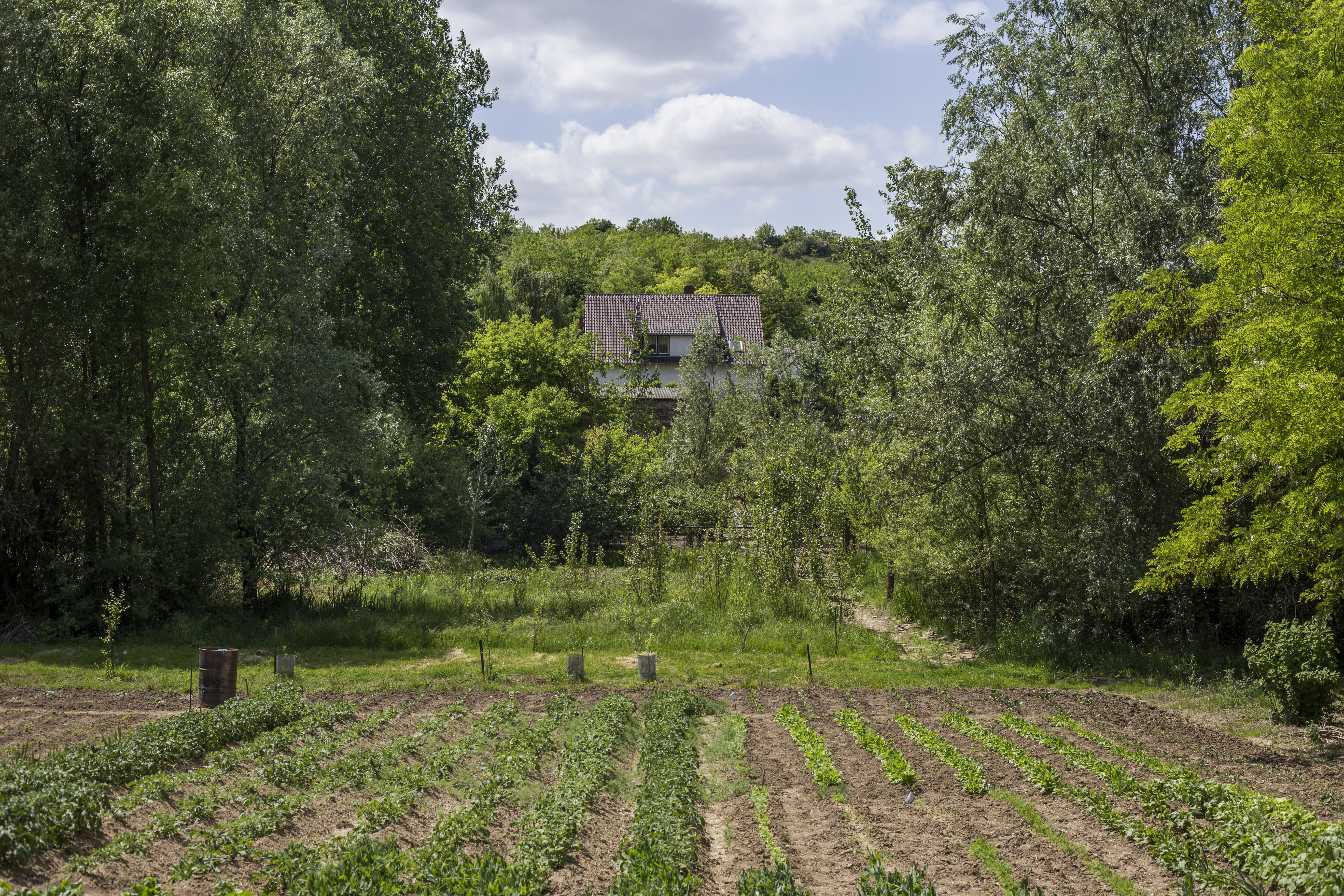 Kert_3_részlet a könyvből_2018